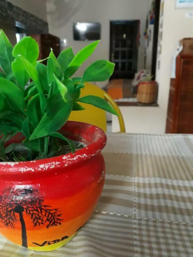 Hostel D'Mais 莫罗圣保罗 外观 照片